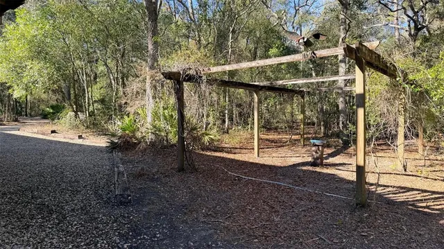 a view of a garden with plants and trees