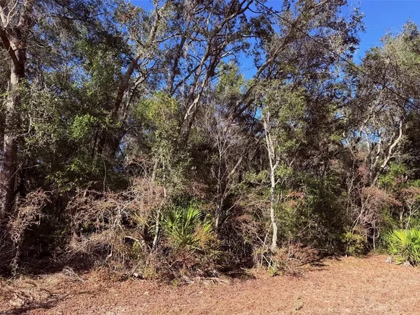 a view of park space with large trees