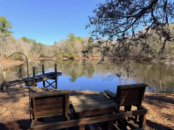 a view of a forest with trees