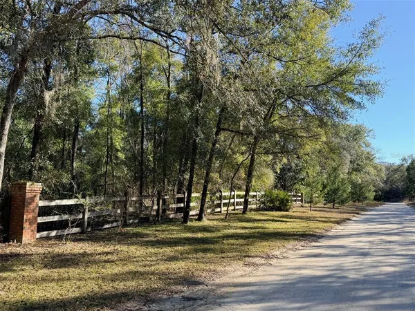 a view of a yard with plants and trees