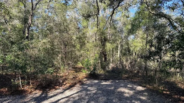 $499,900 | 127 Southeast 930th Street, Old Town, FL 32680