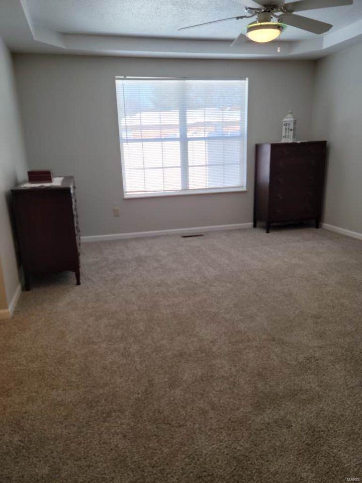 355 Radcliff Road Shiloh, IL 62221 - Photo 4 of 5