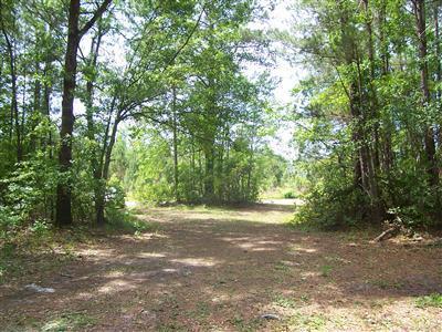 3200 Exum Road Northwest Ash, NC 28420 - Photo 3 of 3 Additional Photo