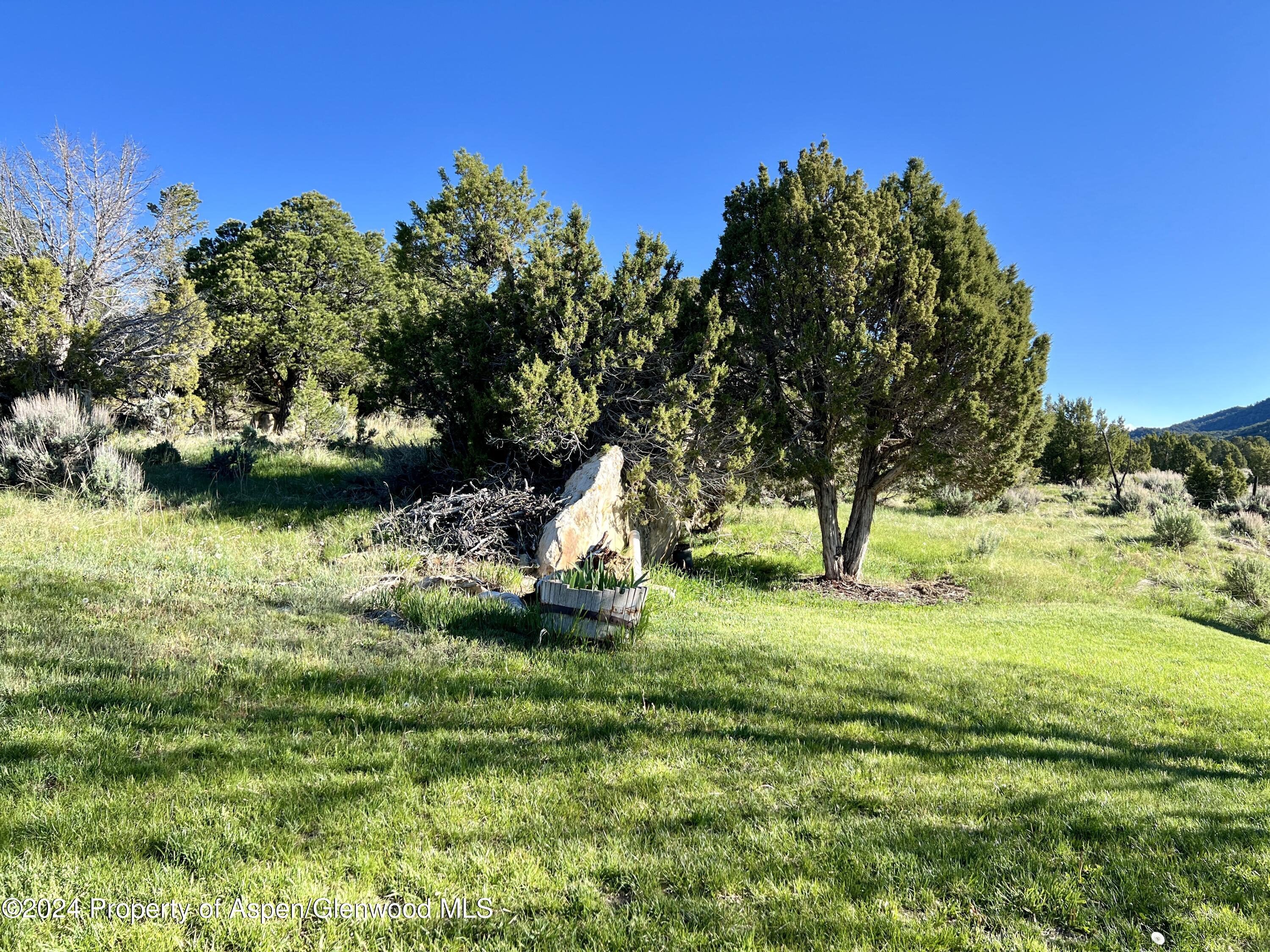 709 Rimrock Drive Meeker, CO 81641 - Photo 24 of 27 a view of a garden with a tree