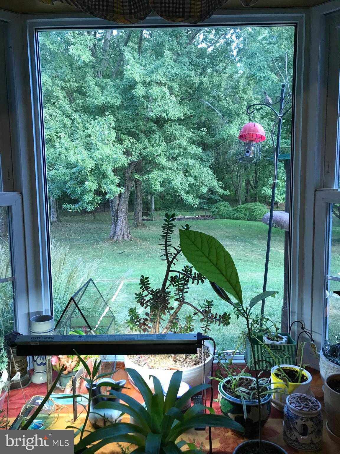 170 Maple Lane Doylestown, PA 18901 - Photo 34 of 49