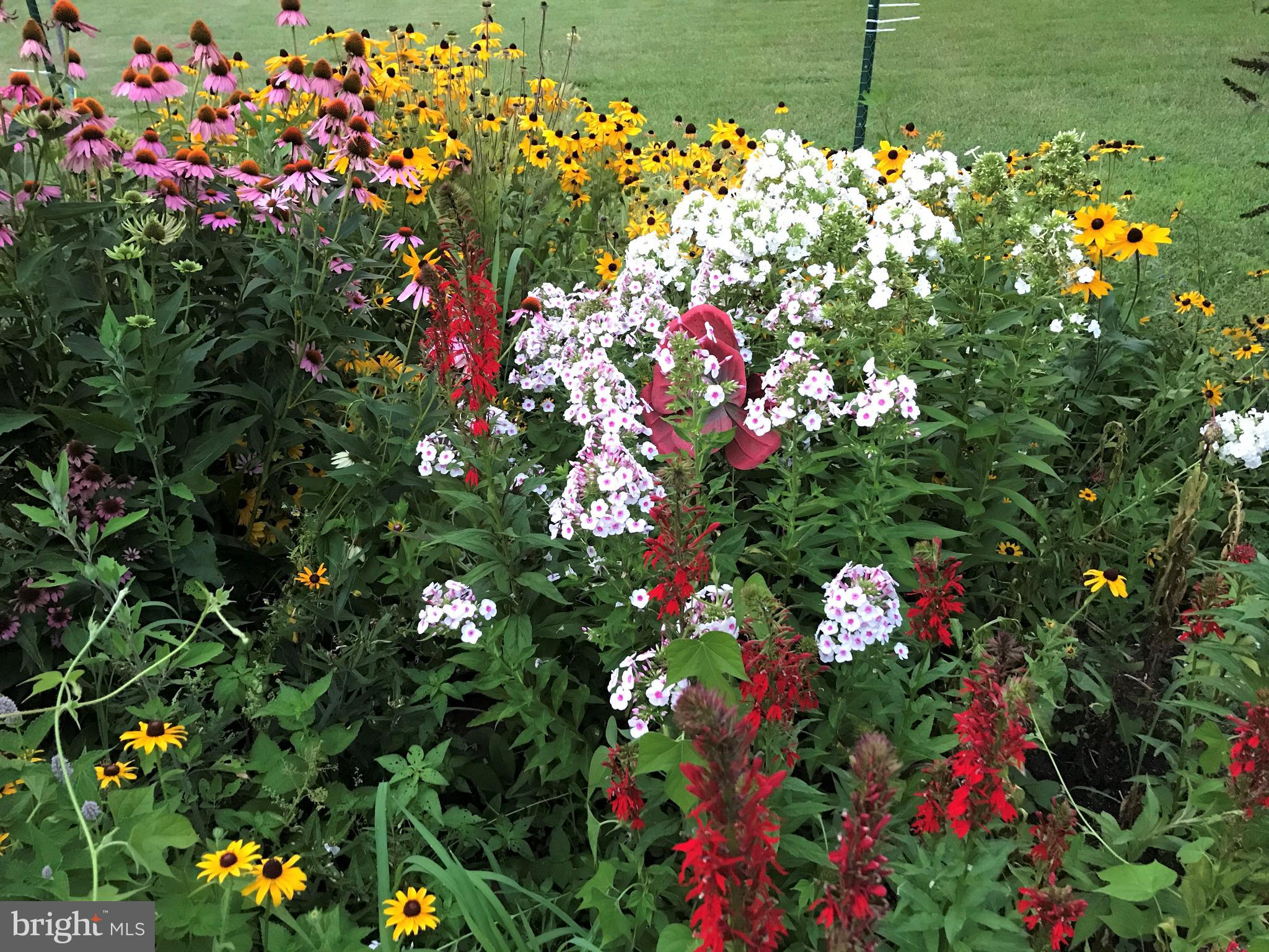 170 Maple Lane Doylestown, PA 18901 - Photo 5 of 49