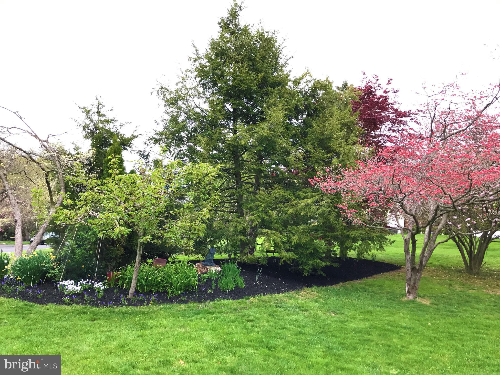 170 Maple Lane Doylestown, PA 18901 - Photo 6 of 49