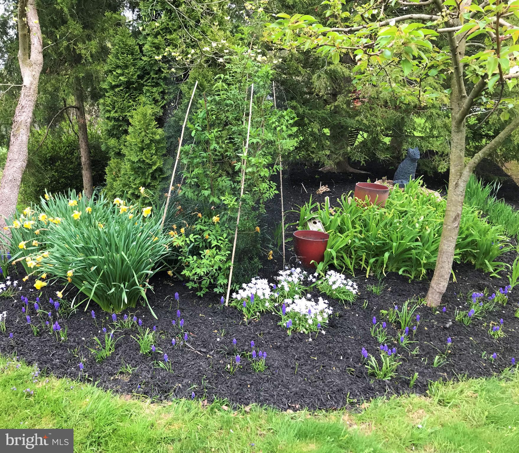 170 Maple Lane Doylestown, PA 18901 - Photo 7 of 49