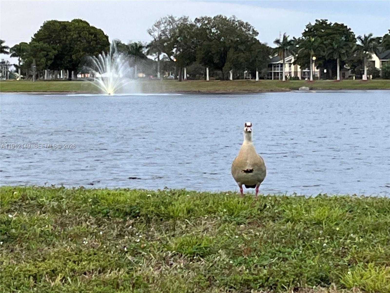 3080 North Course Drive, Unit 209 Pompano Beach, FL 33069 - Photo 38 of 40 greet your wildlife pals while you stroll