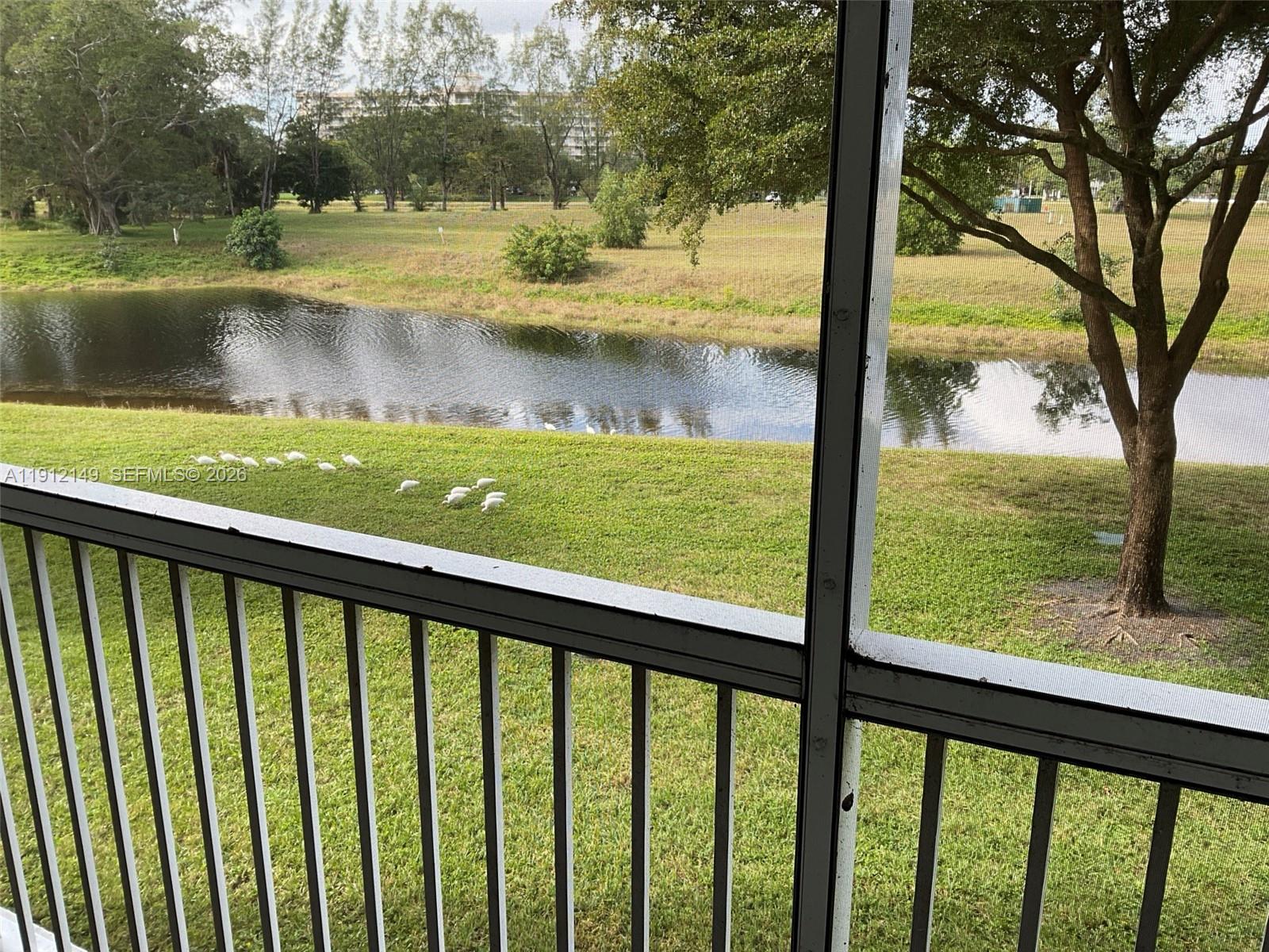 3080 North Course Drive, Unit 209 Pompano Beach, FL 33069 - Photo 40 of 40 Ibis enjoying the grounds