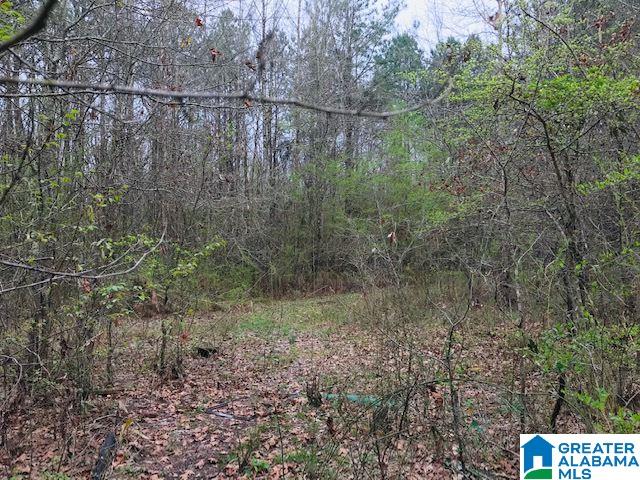Pinedale Road, Unit 160 Ashville, AL 35953 - Photo 10 of 10