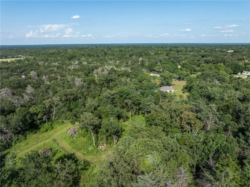 16135 Wilson Pasture Road Bryan, TX 77808 - Photo 27 of 29