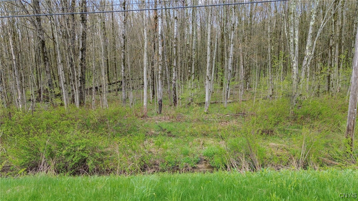 510 Kipp Road Parish, NY 13131 - Photo 11 of 12