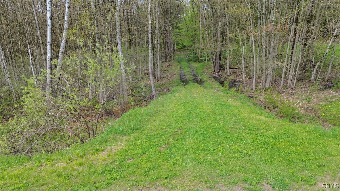 510 Kipp Road Parish, NY 13131 - Photo 12 of 12