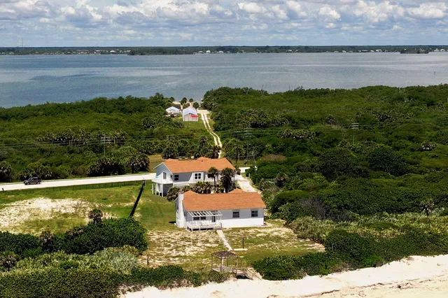 a view of a park with palm trees