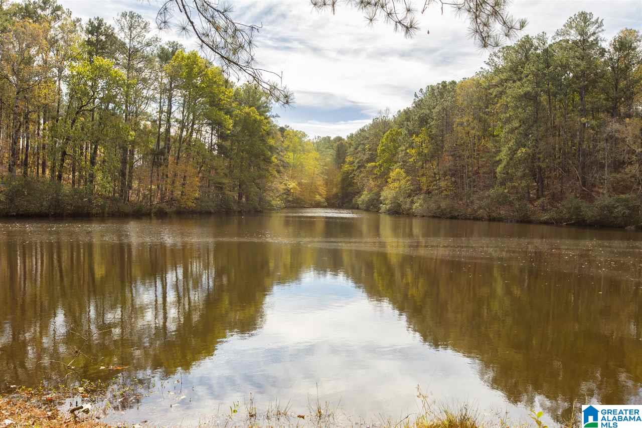 135 Brantley Lake Road Alabaster, AL 35114 - Photo 28 of 37