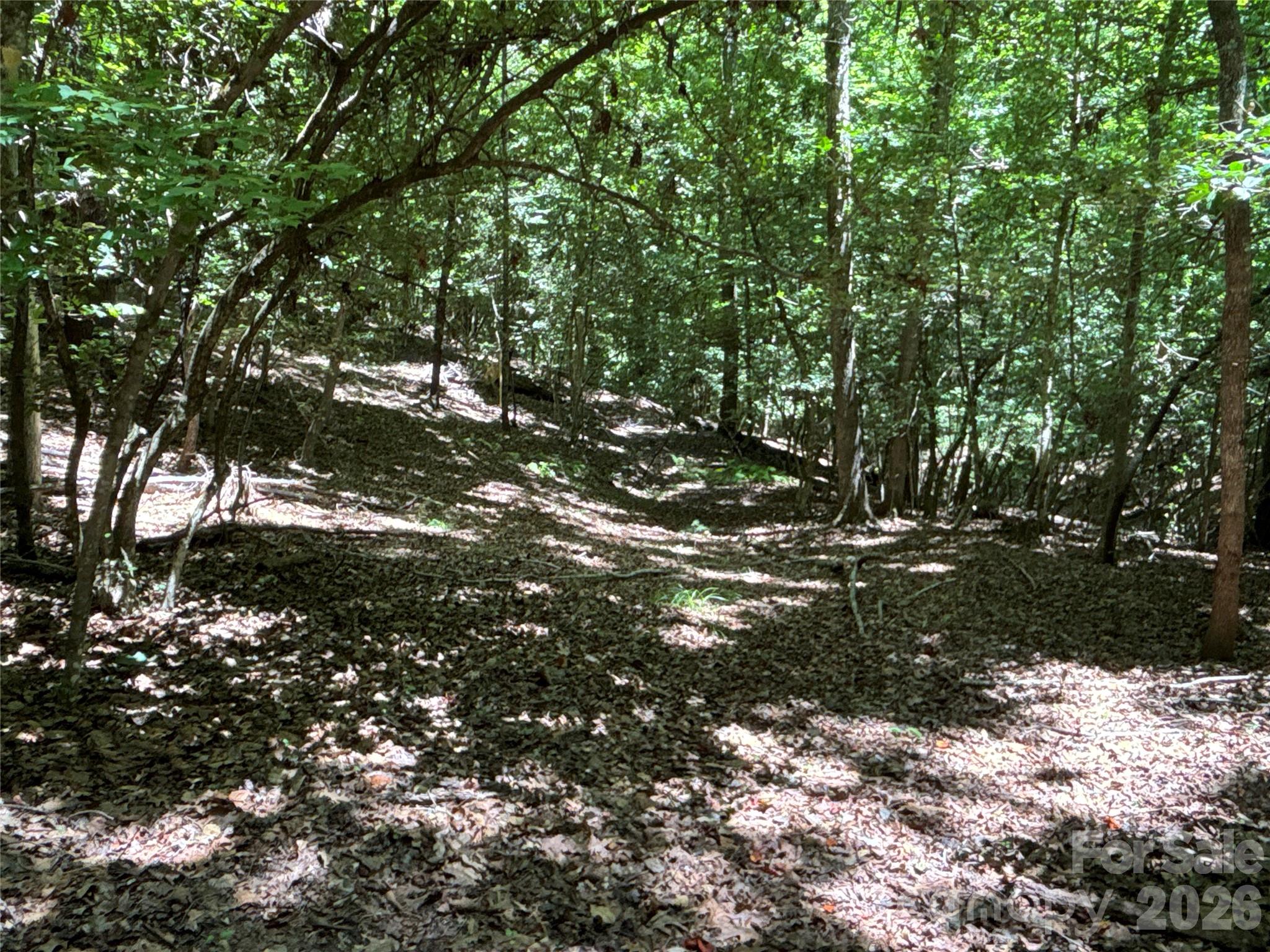 2006 Piedmont Road Morganton, NC 28655 - Photo 5 of 14