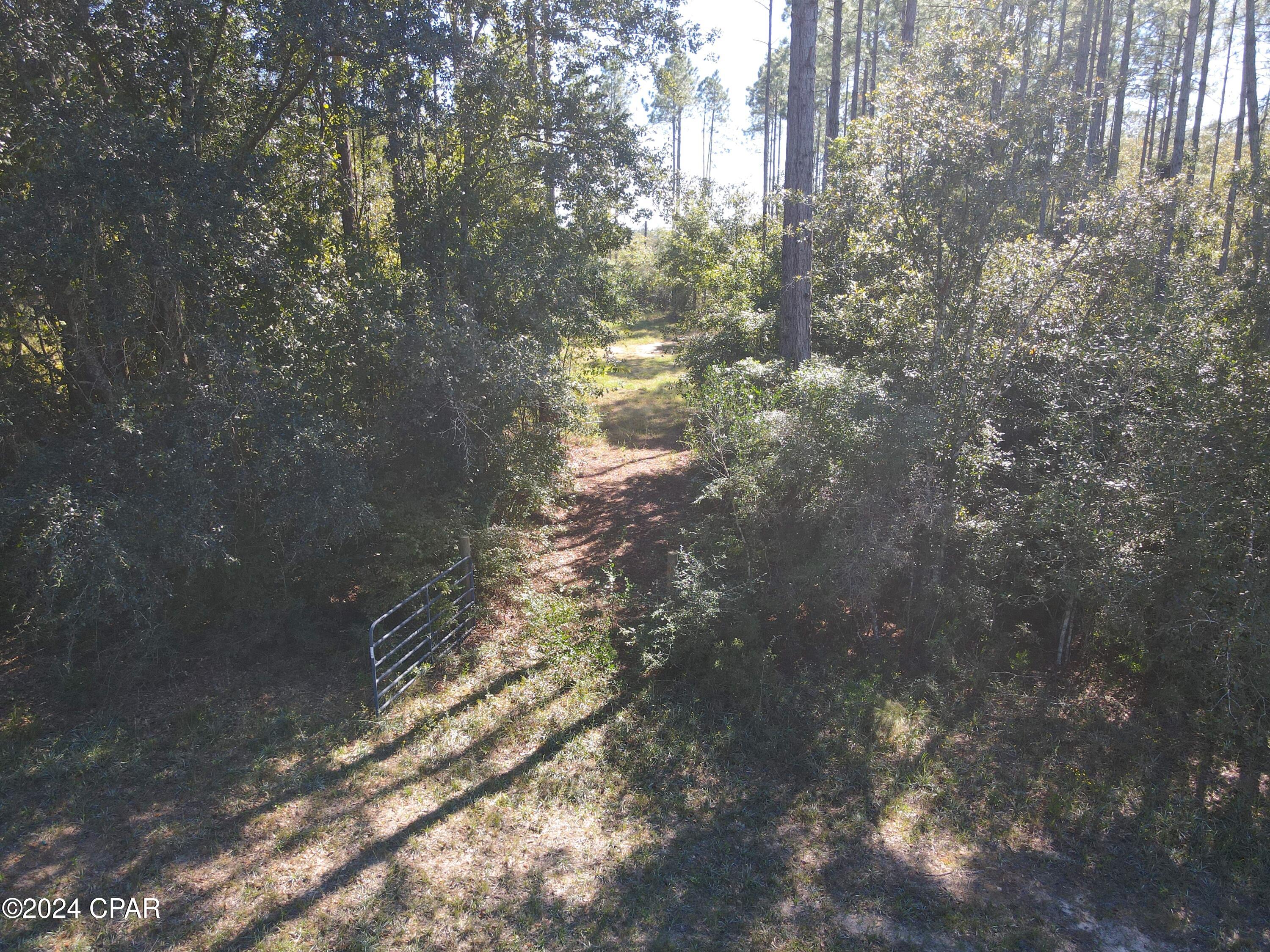 2270 Boswell Road Bonifay, FL 32425 - Photo 32 of 33 Gallery Image 32