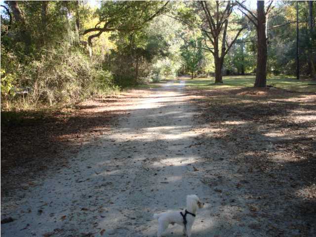 8738 Peters Point Road, Unit 1/6 Edisto Island, SC 29438 - Photo 24 of 24 Additional Photo