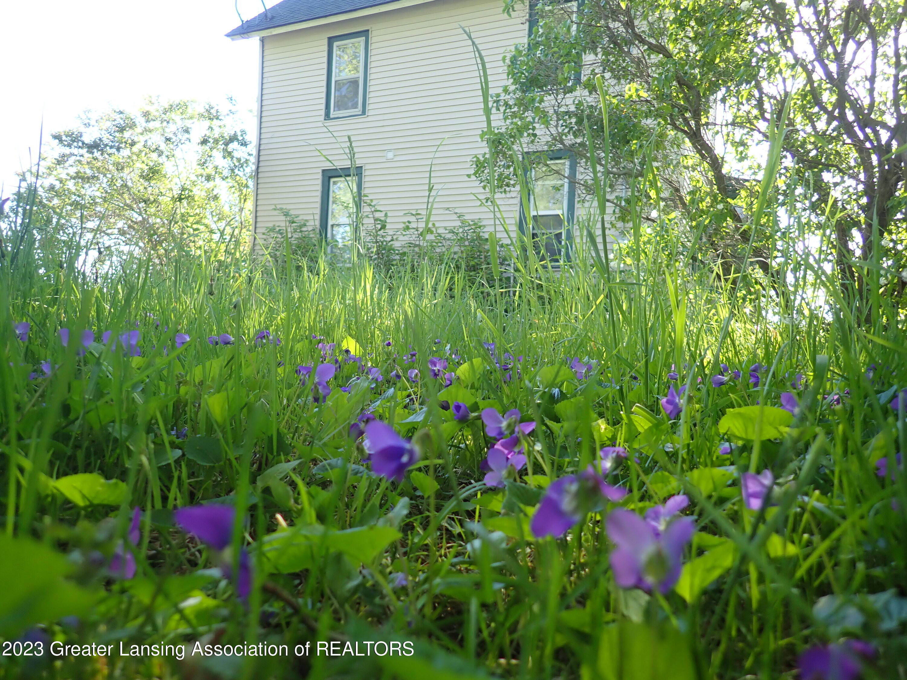 7934 West Allan Road Elsie, MI 48831 - Photo 50 of 56 Gardens