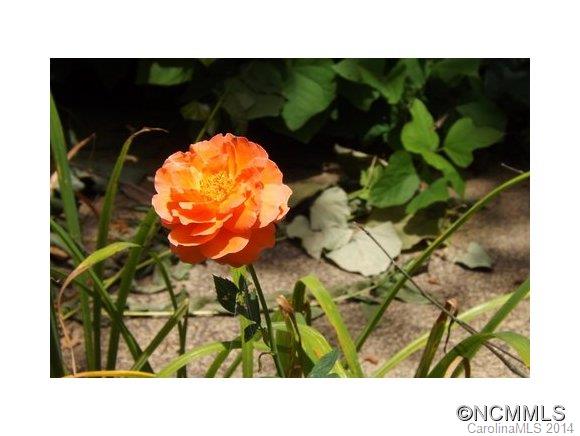 0 Howland Road Asheville, NC 28804 - Photo 18 of 23 Gallery Image 18