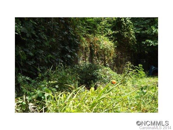 0 Howland Road Asheville, NC 28804 - Photo 19 of 23 Gallery Image 19