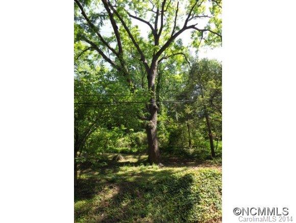 0 Howland Road Asheville, NC 28804 - Photo 8 of 23 Gallery Image 8