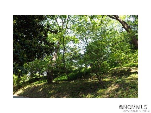 0 Howland Road Asheville, NC 28804 - Photo 10 of 23 Gallery Image 10