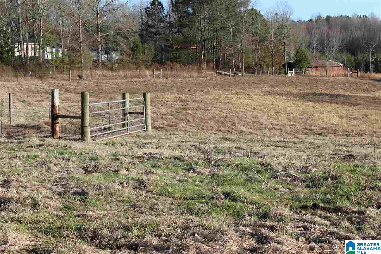 3601 Brookside Road Brilliant, AL 35548 - Photo 31 of 33