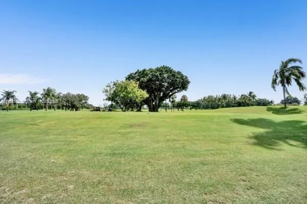a view of field with tall trees