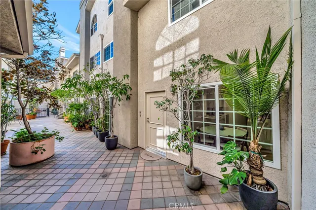 a view of a garden with potted plants
