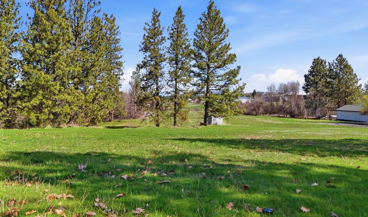 12315 East Connor Road Valleyford, WA 99036 - Photo 24 of 50