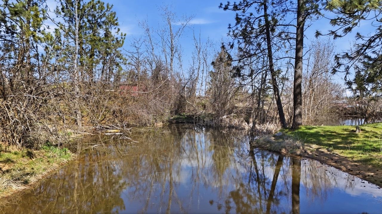 12315 East Connor Road Valleyford, WA 99036 - Photo 34 of 50