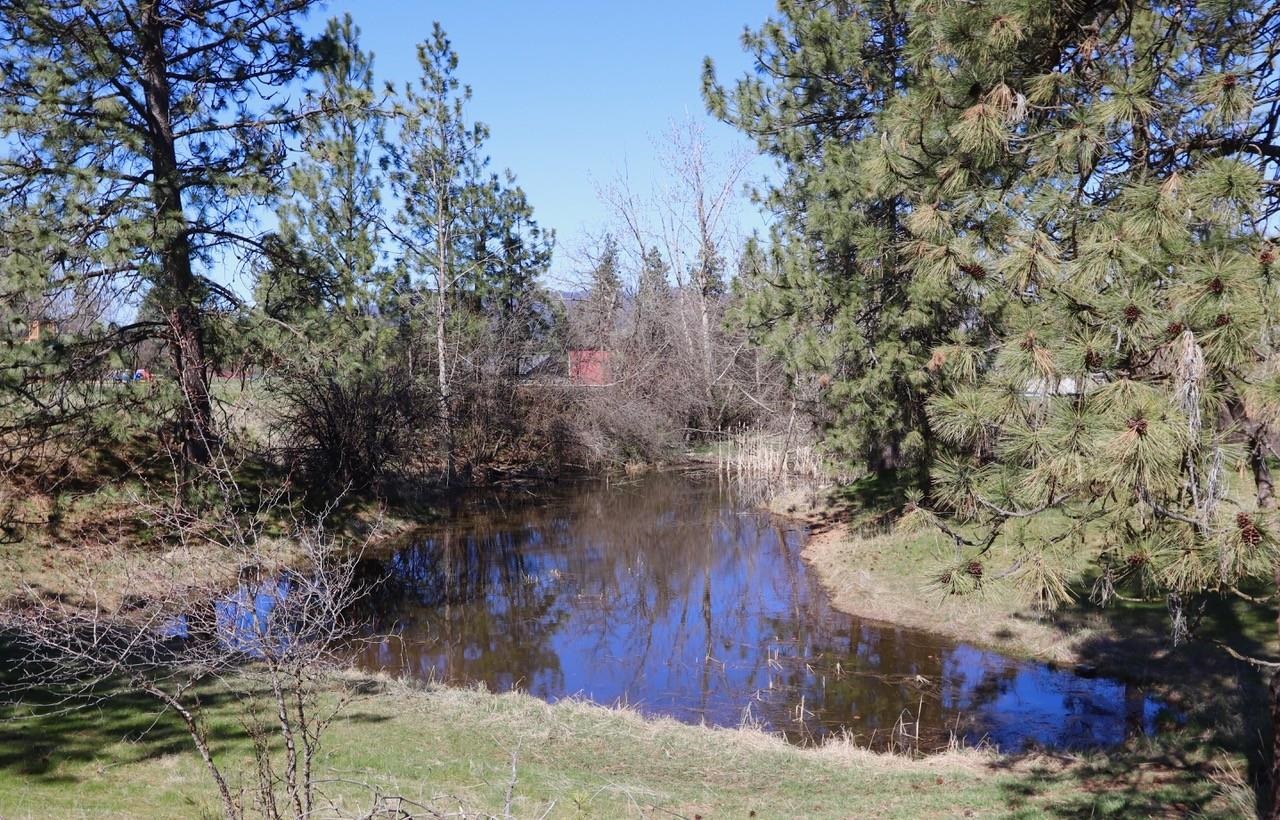 12315 East Connor Road Valleyford, WA 99036 - Photo 35 of 50