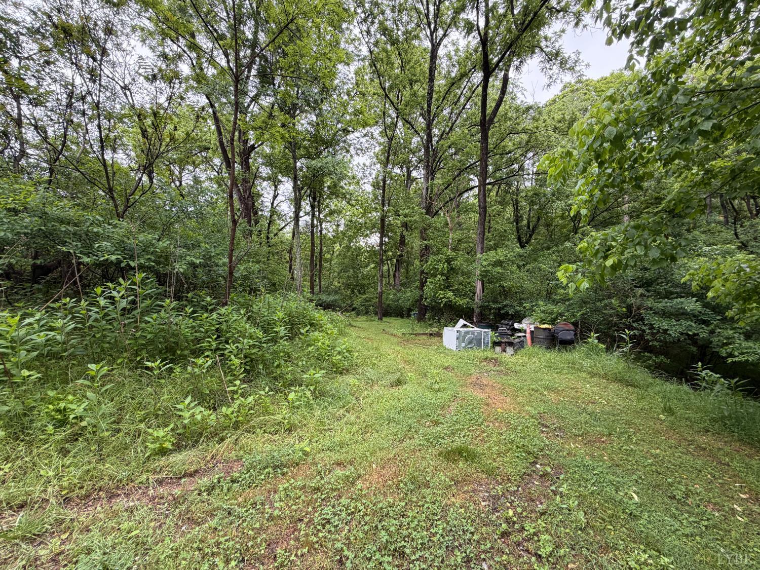 1115 Gandy Road Goode, VA 24556 - Photo 3 of 4 a view of a field with large trees