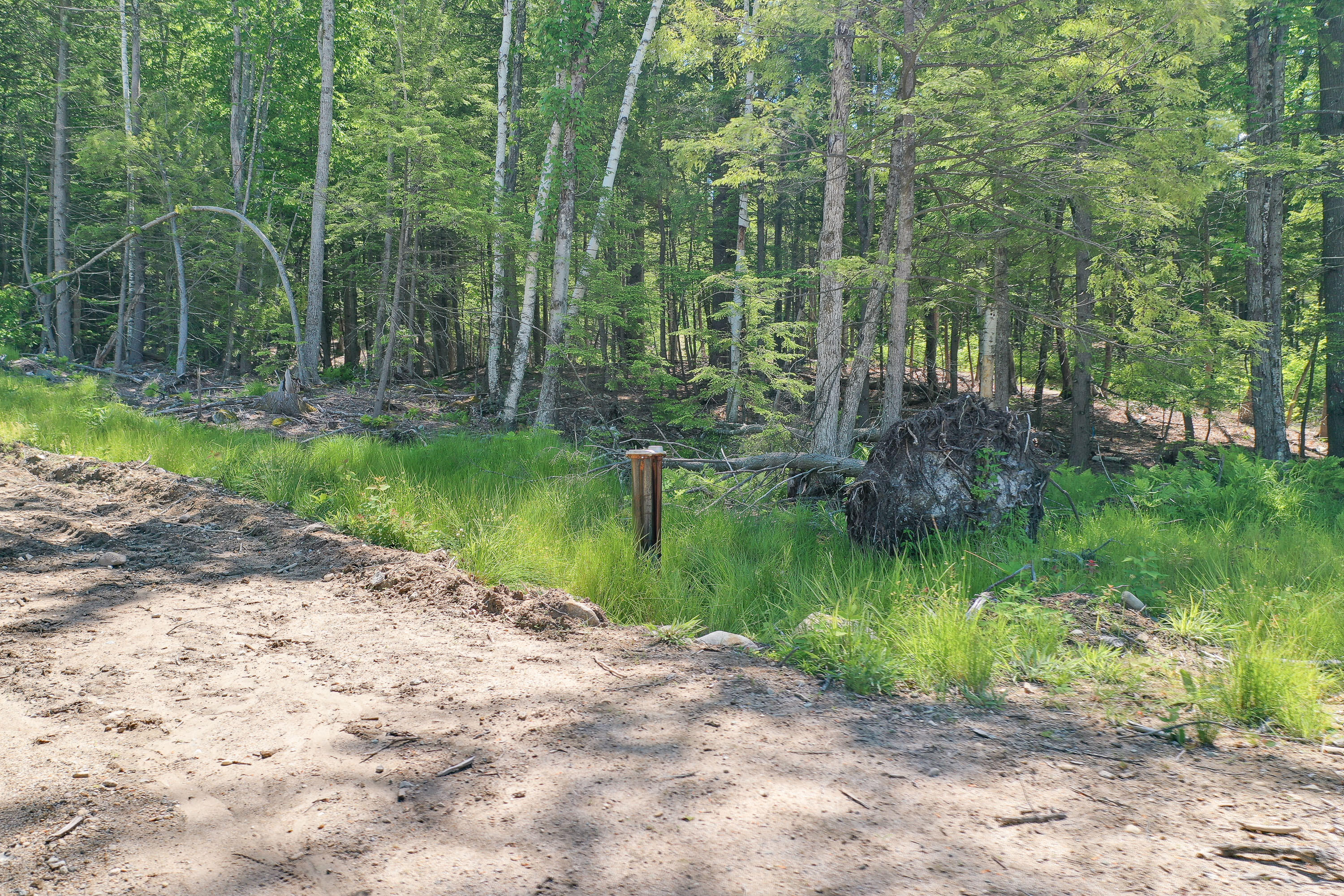 264 23rd Street Loop Road Shapleigh, ME 04076 - Photo 14 of 26 264 23rd State Loop Rd_109