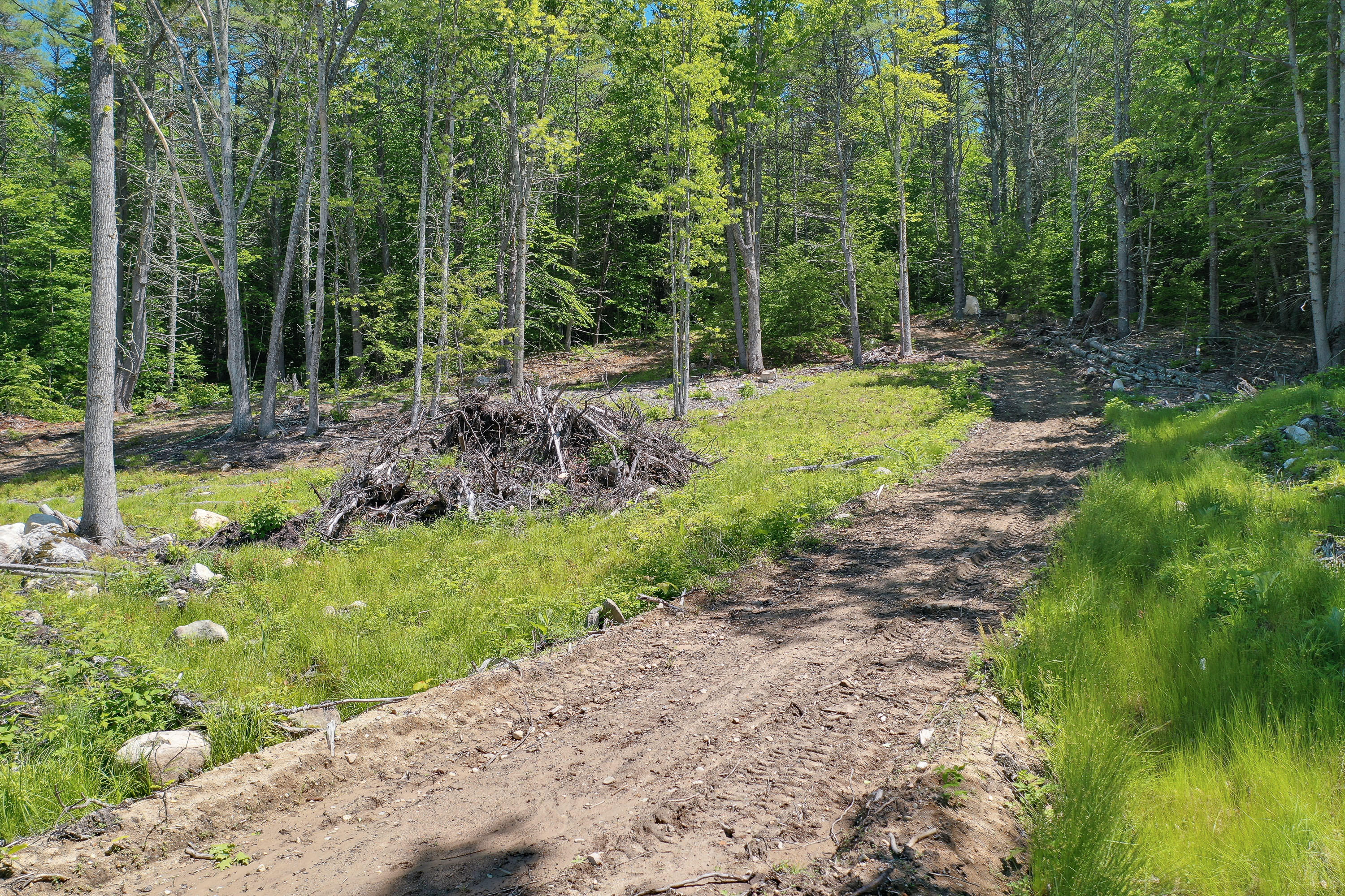264 23rd Street Loop Road Shapleigh, ME 04076 - Photo 15 of 26 264 23rd State Loop Rd_110