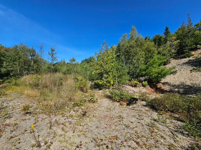 $39,000 | 3-l 9 Off Eastern Ridge Road, Northfield, ME 04654