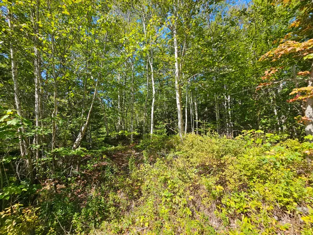 $39,000 | 3-l 9 Off Eastern Ridge Road, Northfield, ME 04654