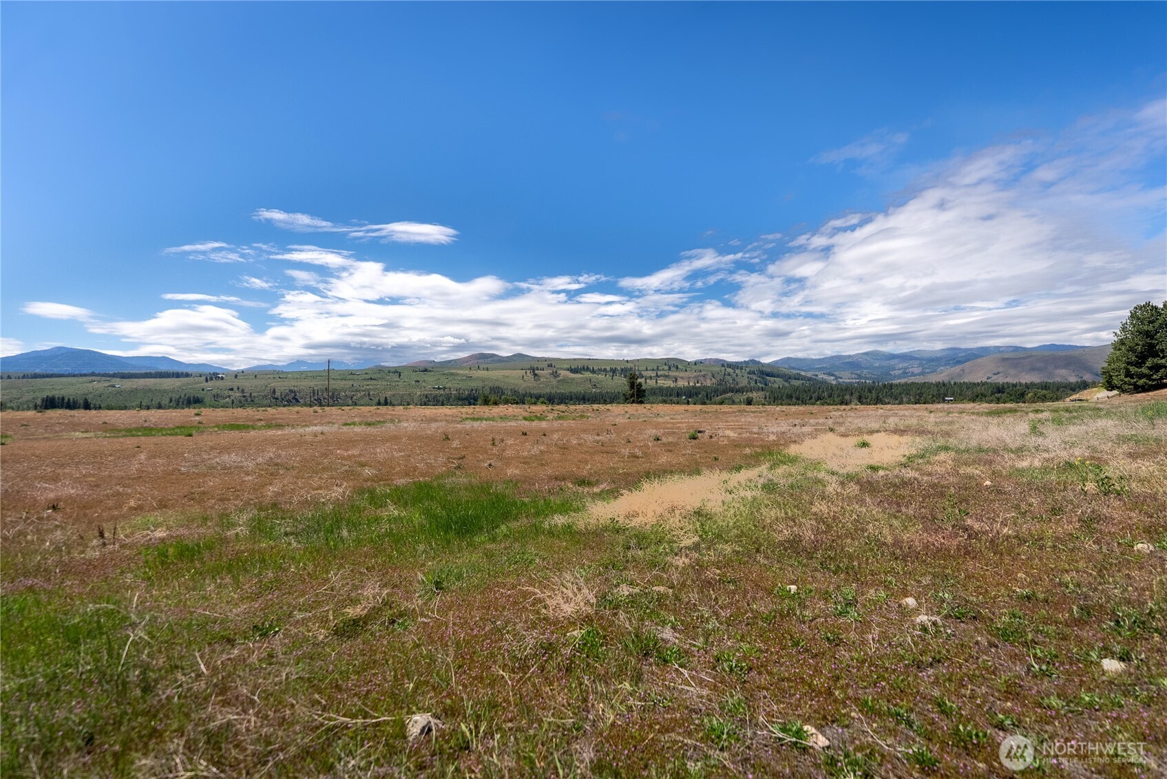 567 Twisp-Winthrop Eastside Road Winthrop, WA 98862 - Photo 9 of 33