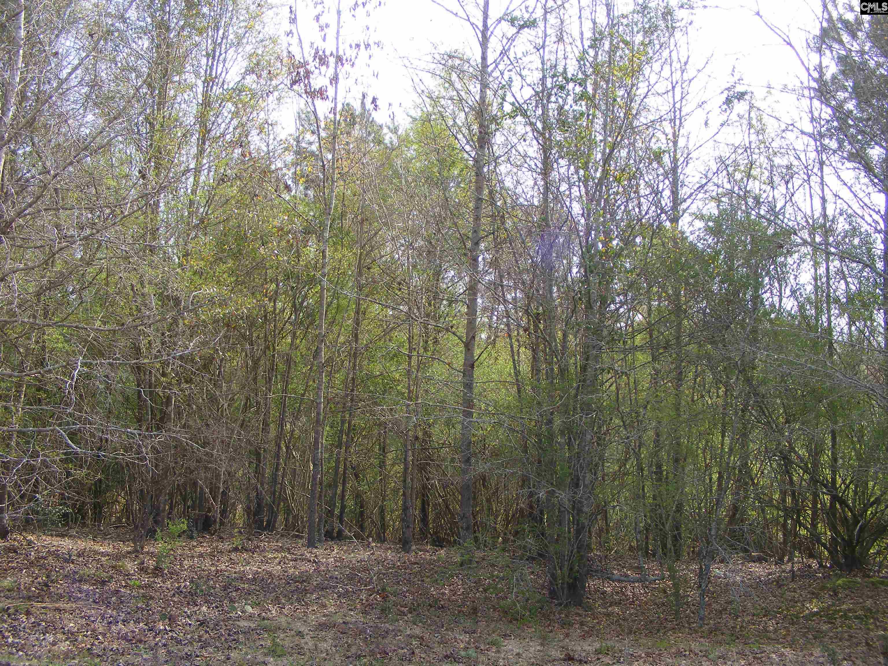 0 Dr Boylston Road Salley, SC 29137 - Photo 13 of 41