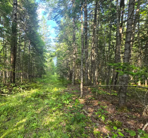 $199,900 | Tbd Cummings Lane, Old Town, ME 04468