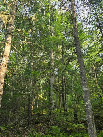 $199,900 | Tbd Cummings Lane, Old Town, ME 04468