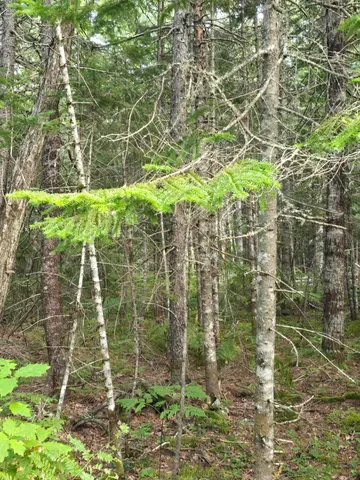 $199,900 | Tbd Cummings Lane, Old Town, ME 04468