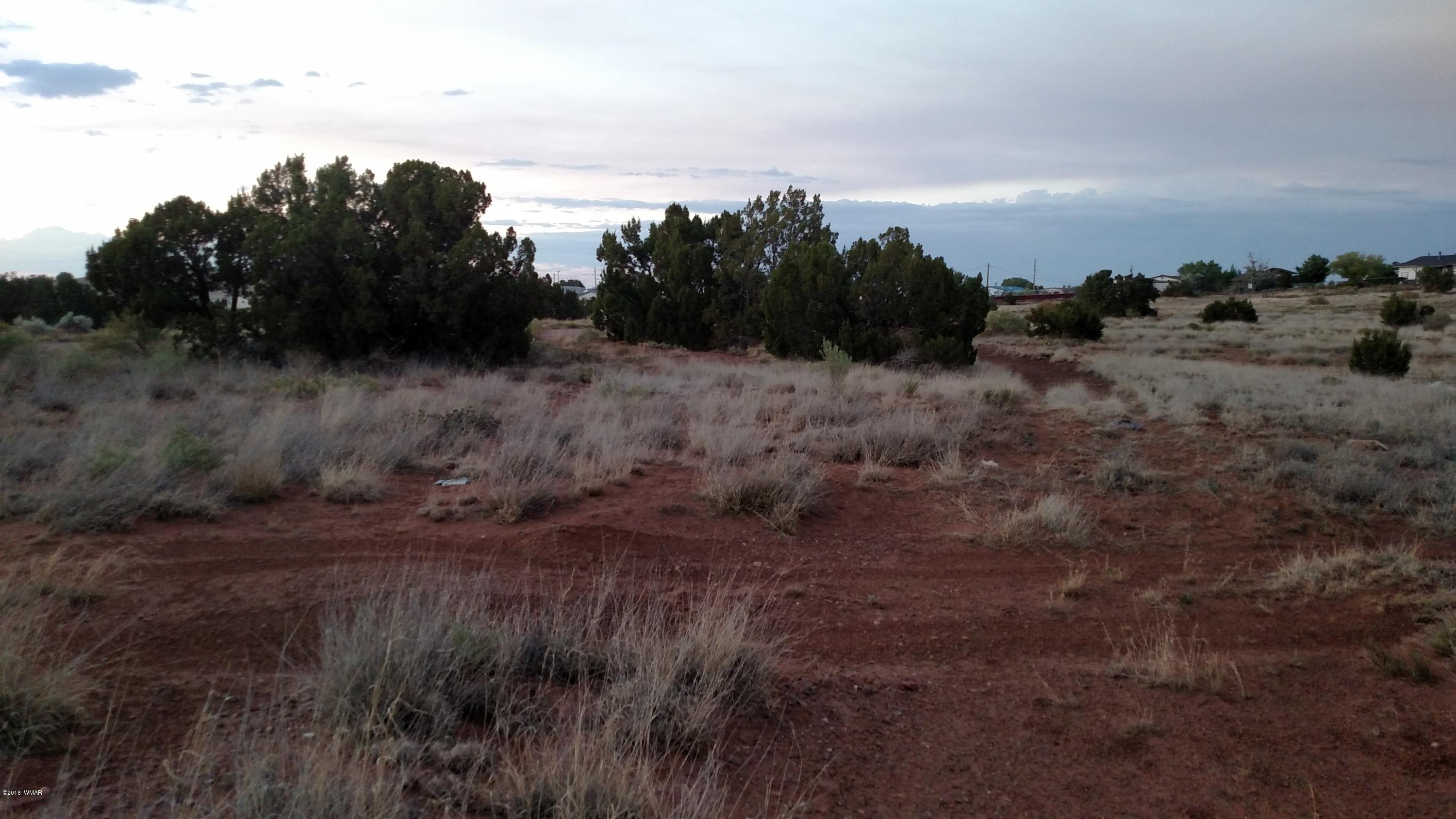 Tbd South Staley Road Snowflake, AZ 85937 - Photo 11 of 11