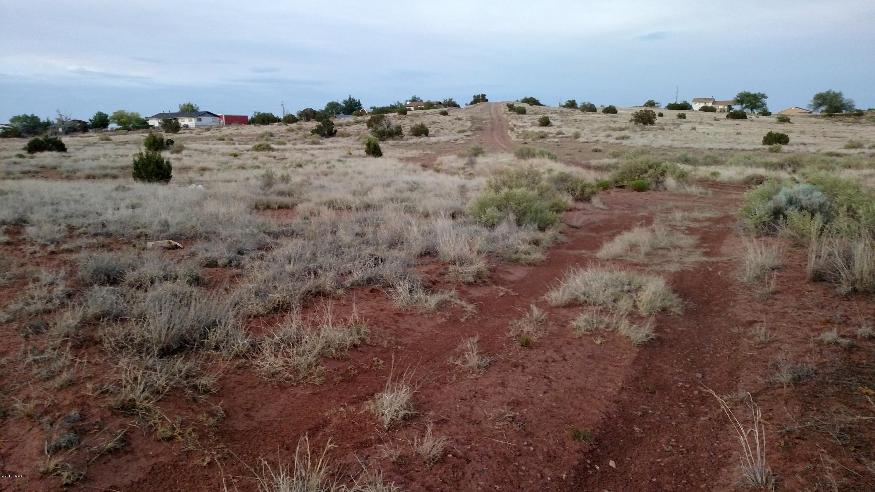 Tbd South Staley Road Snowflake, AZ 85937 - Photo 3 of 11