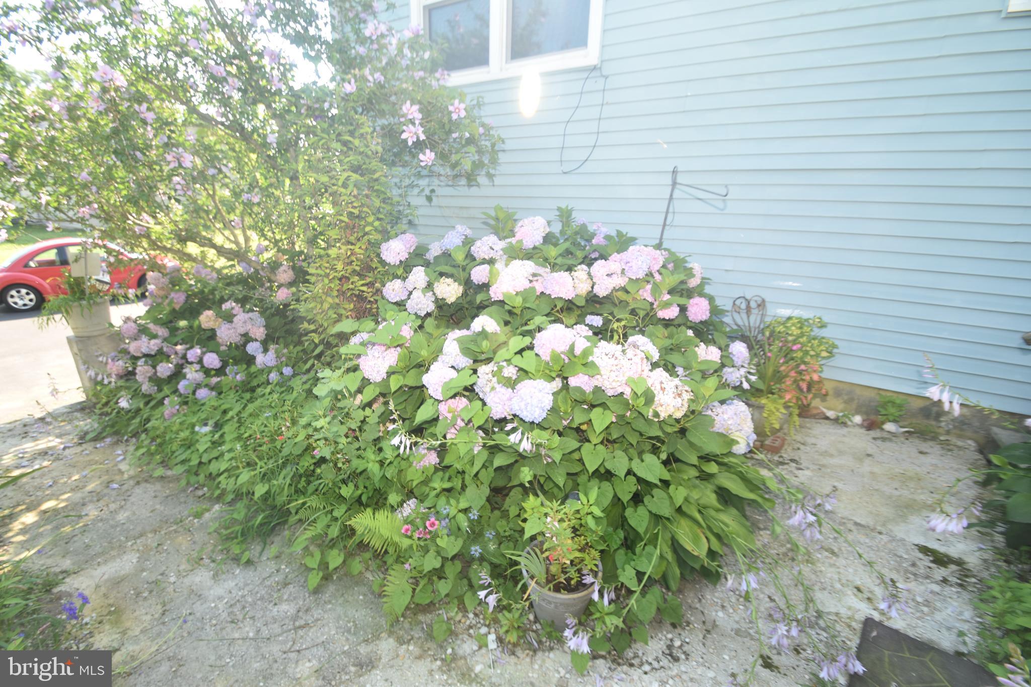 303 Thorntown Road Middletown, DE 19709 - Photo 36 of 70 Gallery Image 36