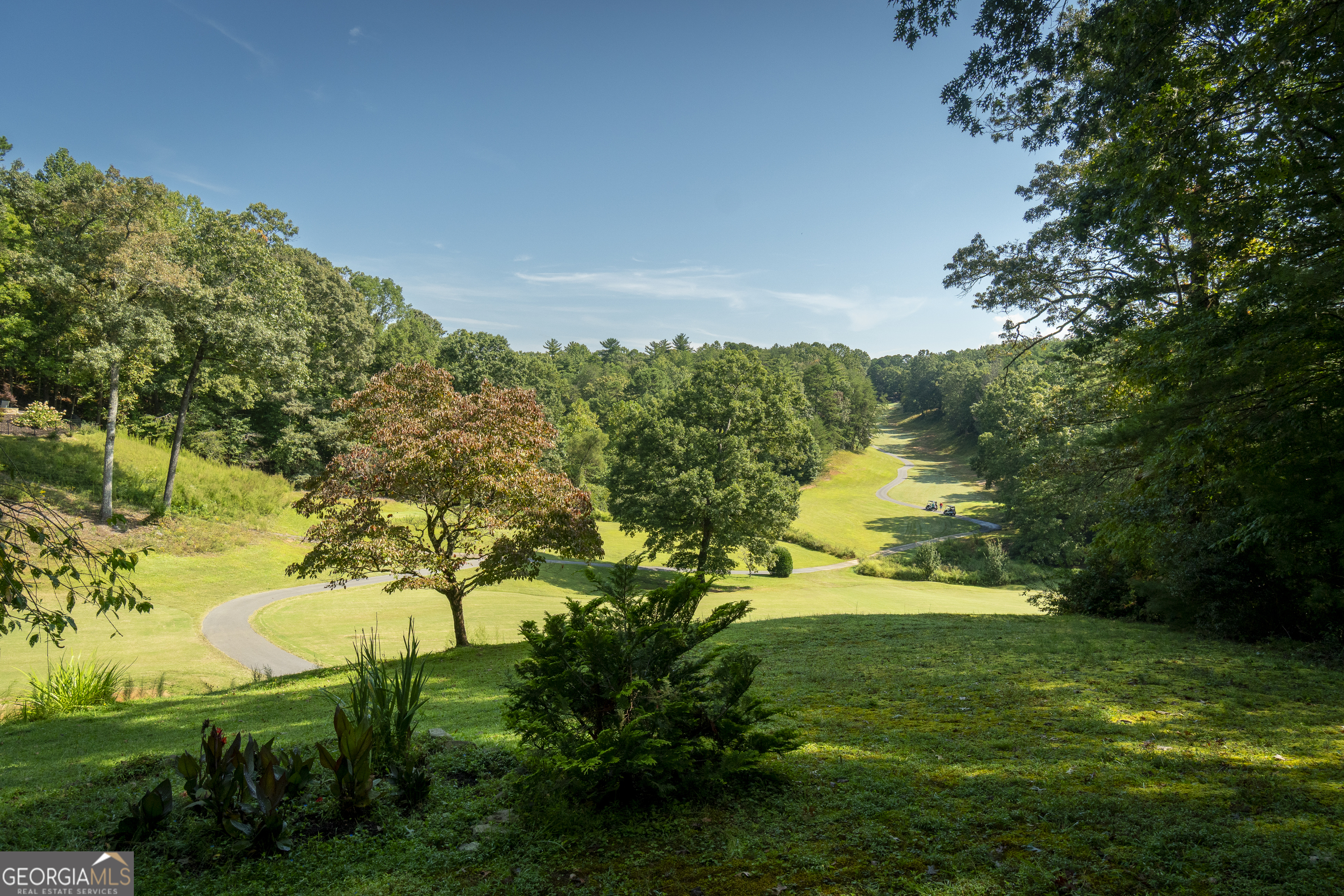 1280 Bahn Innsbruck Helen, GA 30545 - Photo 16 of 85