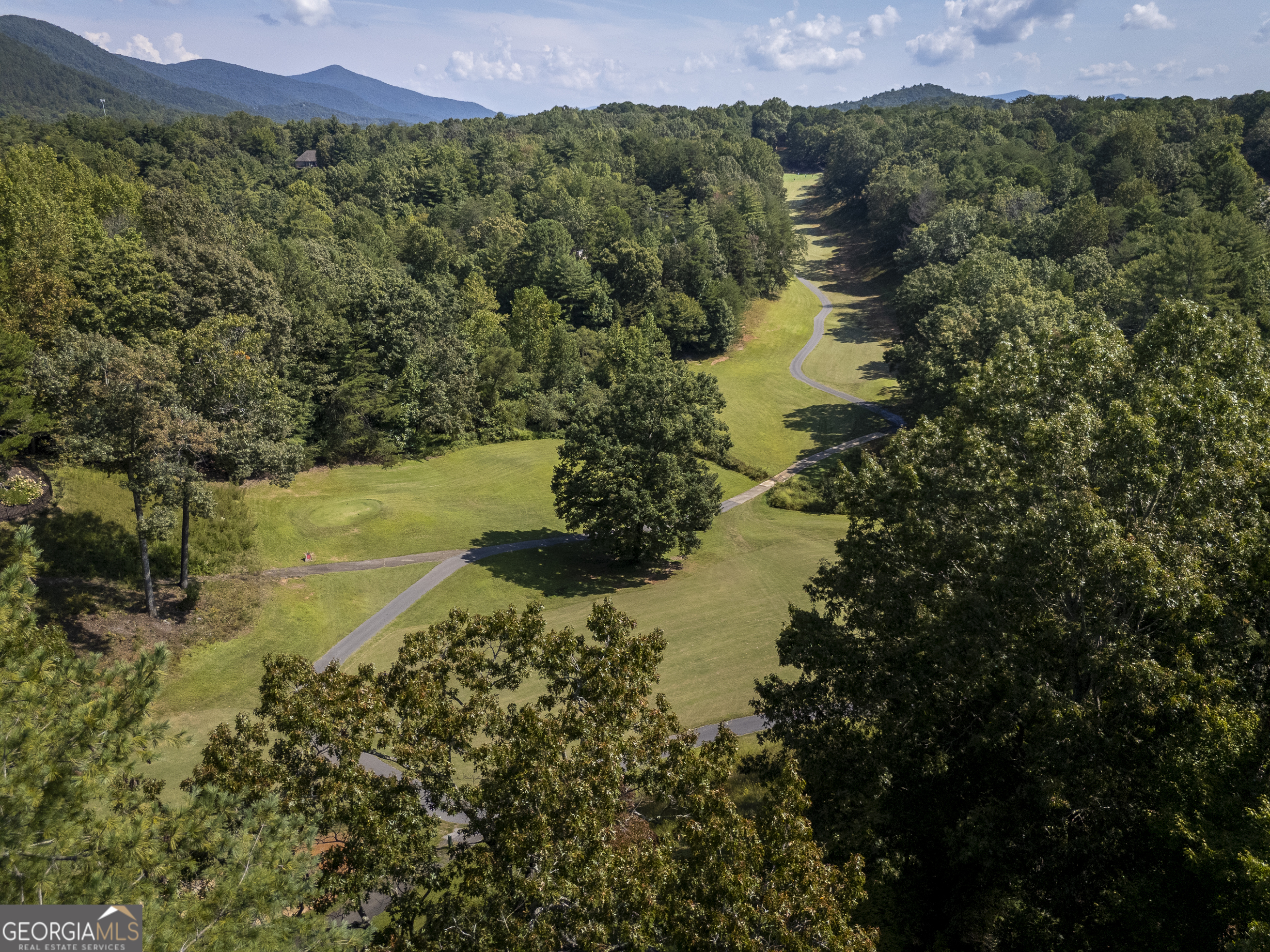 1280 Bahn Innsbruck Helen, GA 30545 - Photo 8 of 85 a view of a lake with a mountain in the background