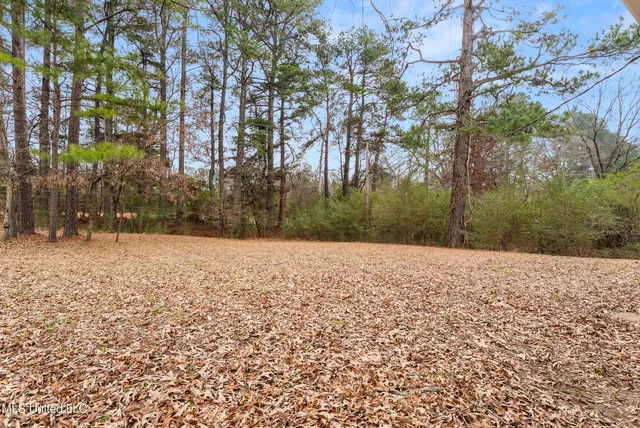 $224,900 | 589 Swaney Drive, Holly Springs, MS 38635